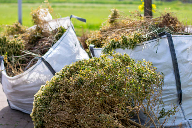 Best Junk Removal for Businesses  in Woodmoor, CO